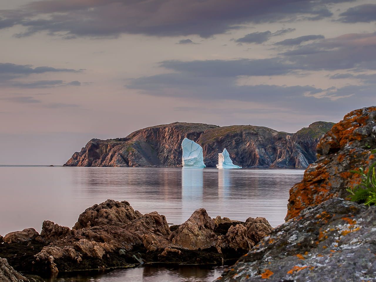 Coastal cliffs and icebergs near St. John's, Newfoundland